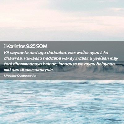 Picture 02 - 1 Korintos 9:25 SOM - Kii cayaarta aad ugu dadaalaa, wax walba ayuu - Bible Verse Picture