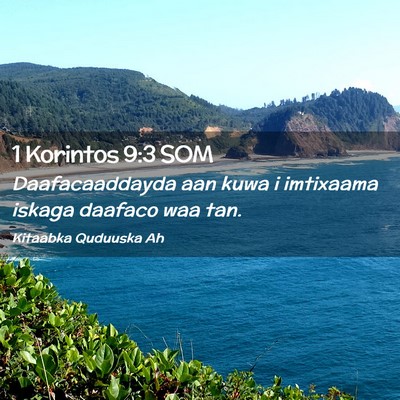 Picture 02 - 1 Korintos 9:3 SOM - Daafacaaddayda aan kuwa i imtixaama iskaga - Bible Verse Picture