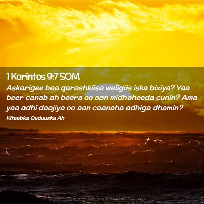 Picture 02 - 1 Korintos 9:7 SOM - Askarigee baa qarashkiisa weligiis iska bixiya? - Bible Verse Picture