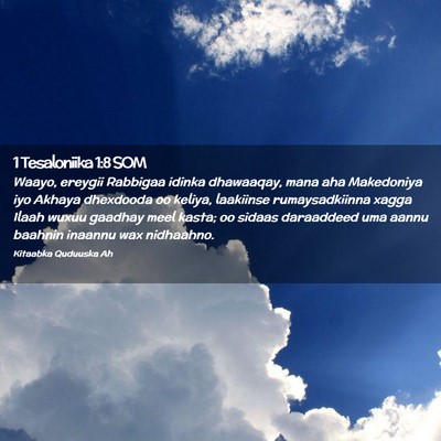 Picture 02 - 1 Tesaloniika 1:8 SOM - Waayo, ereygii Rabbigaa idinka dhawaaqay, mana - Bible Verse Picture