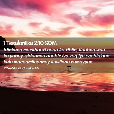Picture 02 - 1 Tesaloniika 2:10 SOM - Idinkuna markhaati baad ka tihiin, Ilaahna wuu ka - Bible Verse Picture