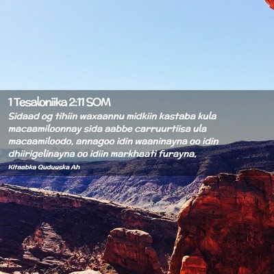 Picture 02 - 1 Tesaloniika 2:11 SOM - Sidaad og tihiin waxaannu midkiin kastaba kula - Bible Verse Picture