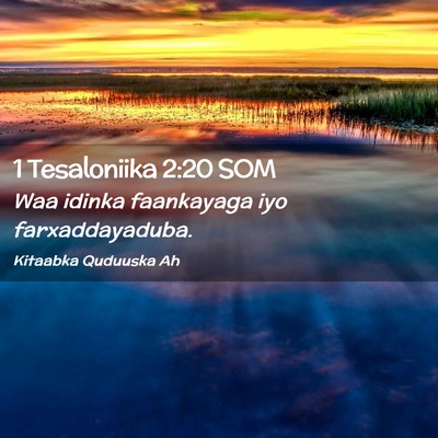 Picture 02 - 1 Tesaloniika 2:20 SOM - Waa idinka faankayaga iyo - Bible Verse Picture