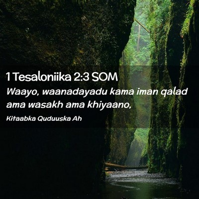 Picture 02 - 1 Tesaloniika 2:3 SOM - Waayo, waanadayadu kama iman qalad ama wasakh ama - Bible Verse Picture
