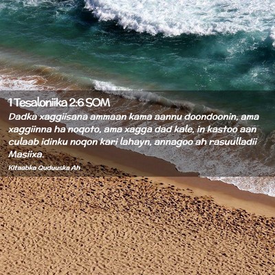 Picture 02 - 1 Tesaloniika 2:6 SOM - Dadka xaggiisana ammaan kama aannu doondoonin, - Bible Verse Picture