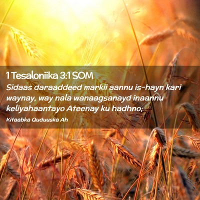 Picture 02 - 1 Tesaloniika 3:1 SOM - Sidaas daraaddeed markii aannu is-hayn kari - Bible Verse Picture
