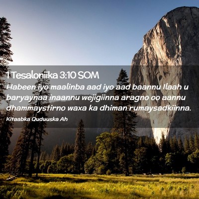 Picture 02 - 1 Tesaloniika 3:10 SOM - Habeen iyo maalinba aad iyo aad baannu Ilaah u - Bible Verse Picture