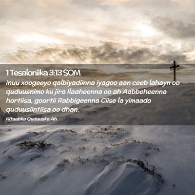 Picture 02 - 1 Tesaloniika 3:13 SOM - inuu xoogeeyo qalbiyadiinna iyagoo aan ceeb - Bible Verse Picture