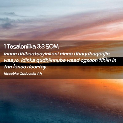 Picture 02 - 1 Tesaloniika 3:3 SOM - inaan dhibaatooyinkani ninna dhaqdhaqaajin, - Bible Verse Picture