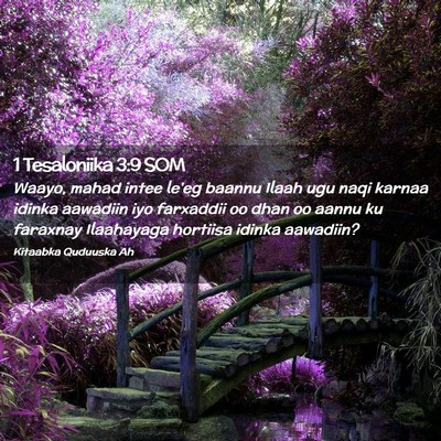 Picture 02 - 1 Tesaloniika 3:9 SOM - Waayo, mahad intee le'eg baannu Ilaah ugu naqi - Bible Verse Picture
