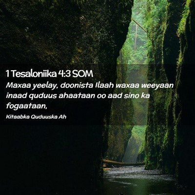 Picture 02 - 1 Tesaloniika 4:3 SOM - Maxaa yeelay, doonista Ilaah waxaa weeyaan inaad - Bible Verse Picture