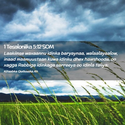 Picture 02 - 1 Tesaloniika 5:12 SOM - Laakiinse waxaannu idinka baryaynaa, - Bible Verse Picture