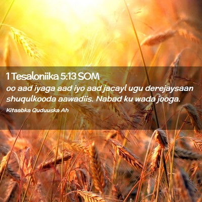 Picture 02 - 1 Tesaloniika 5:13 SOM - oo aad iyaga aad iyo aad jacayl ugu derejaysaan - Bible Verse Picture