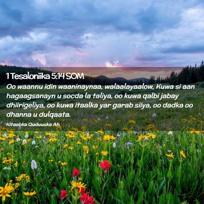 Picture 02 - 1 Tesaloniika 5:14 SOM - Oo waannu idin waaninaynaa, walaalayaalow, Kuwa - Bible Verse Picture