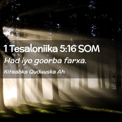 Picture 02 - 1 Tesaloniika 5:16 SOM - Had iyo goorba - Bible Verse Picture