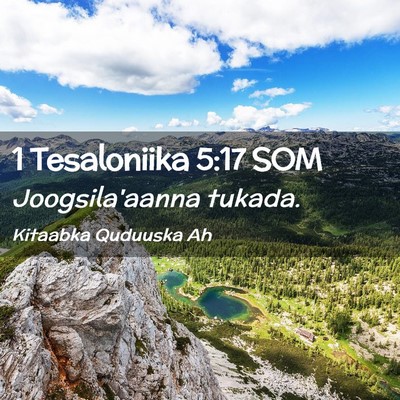 Picture 02 - 1 Tesaloniika 5:17 SOM - Joogsila'aanna - Bible Verse Picture