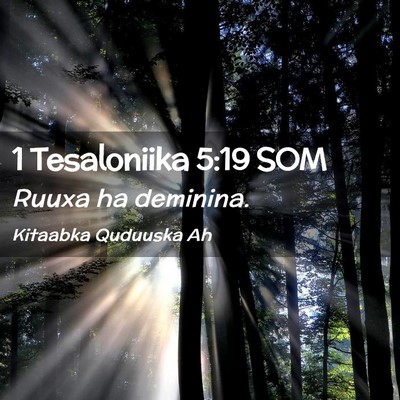Picture 02 - 1 Tesaloniika 5:19 SOM - Ruuxa ha - Bible Verse Picture