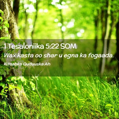 Picture 02 - 1 Tesaloniika 5:22 SOM - Wax kasta oo shar u egna ka - Bible Verse Picture