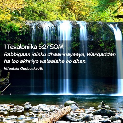 Picture 02 - 1 Tesaloniika 5:27 SOM - Rabbigaan idinku dhaarinayaaye, Warqaddan ha loo - Bible Verse Picture