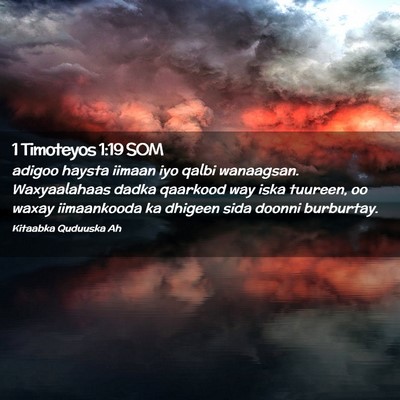 Picture 02 - 1 Timoteyos 1:19 SOM - adigoo haysta iimaan iyo qalbi wanaagsan. - Bible Verse Picture
