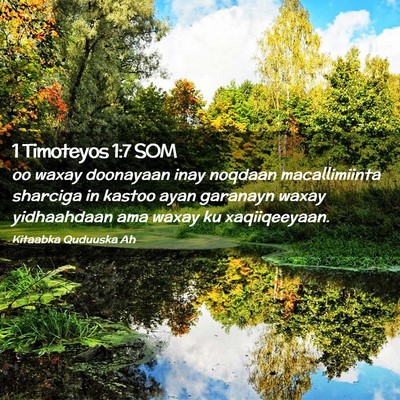 Picture 02 - 1 Timoteyos 1:7 SOM - oo waxay doonayaan inay noqdaan macallimiinta - Bible Verse Picture