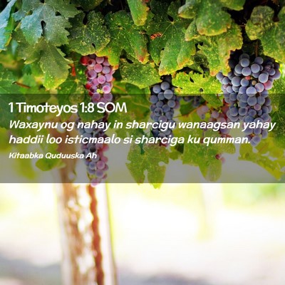 Picture 02 - 1 Timoteyos 1:8 SOM - Waxaynu og nahay in sharcigu wanaagsan yahay - Bible Verse Picture
