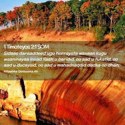 Picture 02 - 1 Timoteyos 2:1 SOM - Sidaas daraaddeed ugu horraysta waxaan kugu - Bible Verse Picture