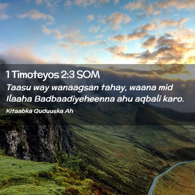 Picture 02 - 1 Timoteyos 2:3 SOM - Taasu way wanaagsan tahay, waana mid Ilaaha - Bible Verse Picture