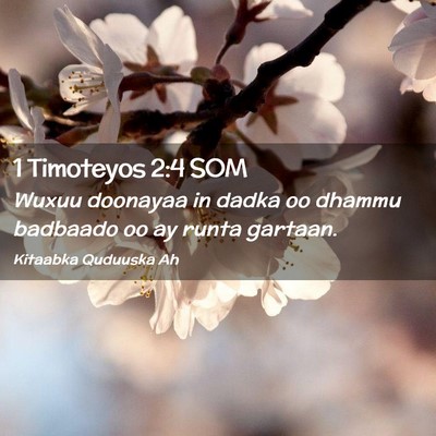 Picture 02 - 1 Timoteyos 2:4 SOM - Wuxuu doonayaa in dadka oo dhammu badbaado oo ay - Bible Verse Picture