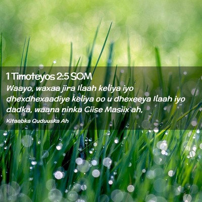 Picture 02 - 1 Timoteyos 2:5 SOM - Waayo, waxaa jira Ilaah keliya iyo dhexdhexaadiye - Bible Verse Picture