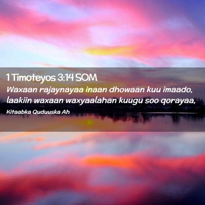 Picture 02 - 1 Timoteyos 3:14 SOM - Waxaan rajaynayaa inaan dhowaan kuu imaado, - Bible Verse Picture