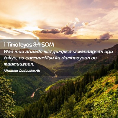 Picture 02 - 1 Timoteyos 3:4 SOM - Waa inuu ahaado mid gurgiisa si wanaagsan ugu - Bible Verse Picture