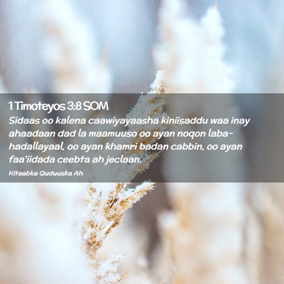 Picture 02 - 1 Timoteyos 3:8 SOM - Sidaas oo kalena caawiyayaasha kiniisaddu waa - Bible Verse Picture