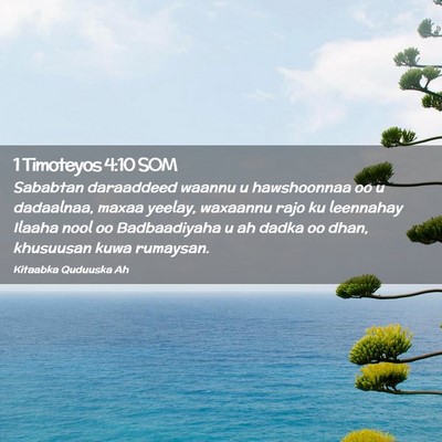 Picture 02 - 1 Timoteyos 4:10 SOM - Sababtan daraaddeed waannu u hawshoonnaa oo u - Bible Verse Picture