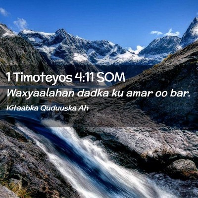 Picture 02 - 1 Timoteyos 4:11 SOM - Waxyaalahan dadka ku amar oo - Bible Verse Picture