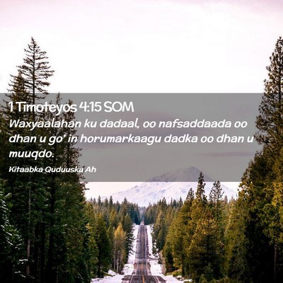 Picture 02 - 1 Timoteyos 4:15 SOM - Waxyaalahan ku dadaal, oo nafsaddaada oo dhan u - Bible Verse Picture