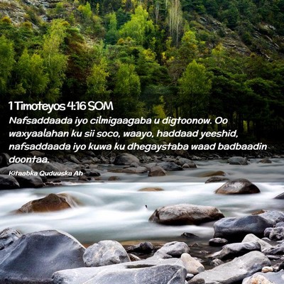 Picture 02 - 1 Timoteyos 4:16 SOM - Nafsaddaada iyo cilmigaagaba u digtoonow. Oo - Bible Verse Picture