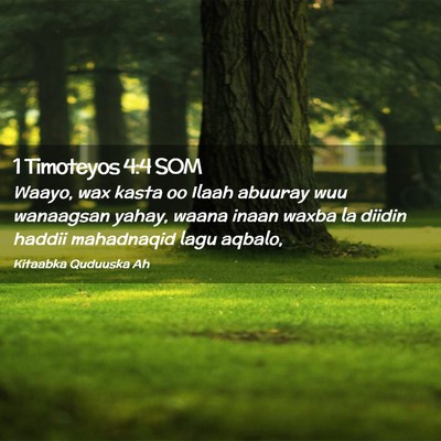Picture 02 - 1 Timoteyos 4:4 SOM - Waayo, wax kasta oo Ilaah abuuray wuu wanaagsan - Bible Verse Picture