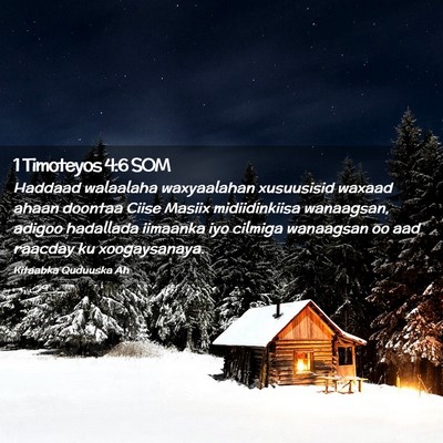 Picture 02 - 1 Timoteyos 4:6 SOM - Haddaad walaalaha waxyaalahan xusuusisid waxaad - Bible Verse Picture