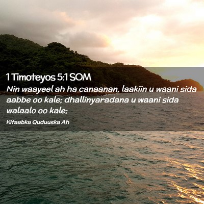 Picture 02 - 1 Timoteyos 5:1 SOM - Nin waayeel ah ha canaanan, laakiin u waani sida - Bible Verse Picture