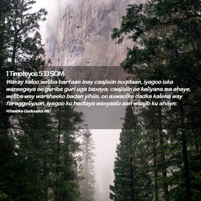 Picture 02 - 1 Timoteyos 5:13 SOM - Waxay kaloo weliba bartaan inay caajisiin - Bible Verse Picture