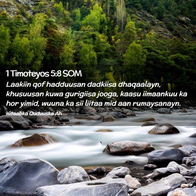 Picture 02 - 1 Timoteyos 5:8 SOM - Laakiin qof hadduusan dadkiisa dhaqaalayn, - Bible Verse Picture