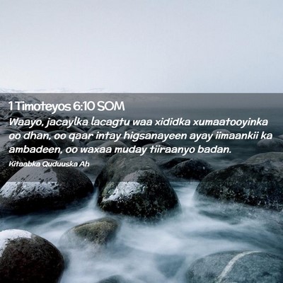 Picture 02 - 1 Timoteyos 6:10 SOM - Waayo, jacaylka lacagtu waa xididka xumaatooyinka - Bible Verse Picture
