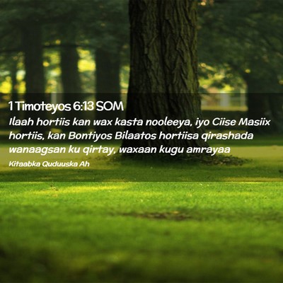Picture 02 - 1 Timoteyos 6:13 SOM - Ilaah hortiis kan wax kasta nooleeya, iyo Ciise - Bible Verse Picture