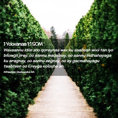 Picture 02 - 1 Yooxanaa 1:1 SOM - Waxaannu idiin soo qoraynaa wax ku saabsan wixii - Bible Verse Picture