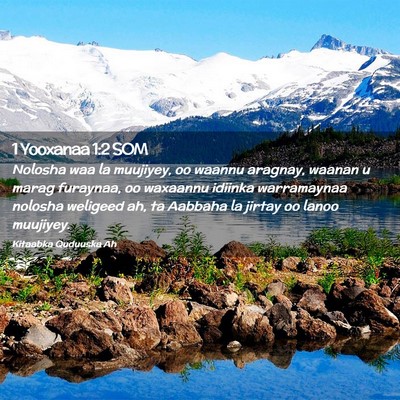 Picture 02 - 1 Yooxanaa 1:2 SOM - Nolosha waa la muujiyey, oo waannu aragnay, - Bible Verse Picture