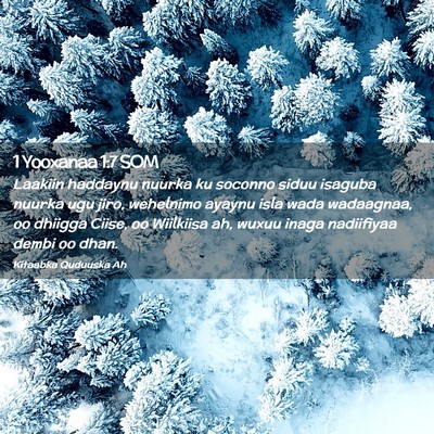 Picture 02 - 1 Yooxanaa 1:7 SOM - Laakiin haddaynu nuurka ku soconno siduu isaguba - Bible Verse Picture