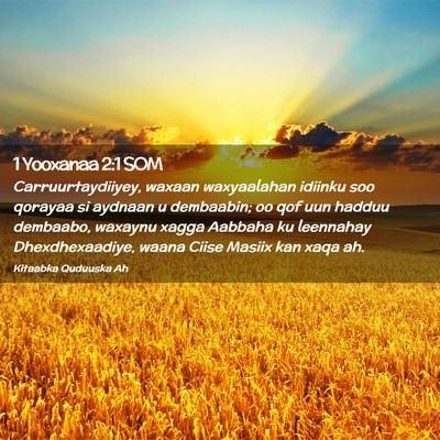 Picture 02 - 1 Yooxanaa 2:1 SOM - Carruurtaydiiyey, waxaan waxyaalahan idiinku soo - Bible Verse Picture