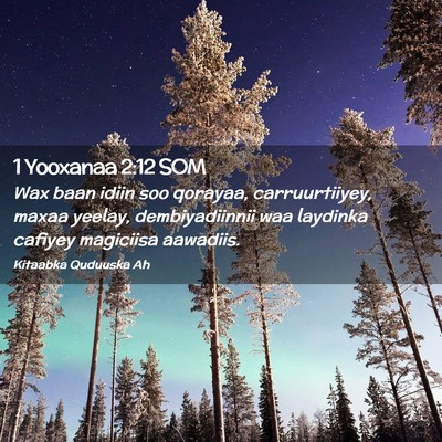 Picture 02 - 1 Yooxanaa 2:12 SOM - Wax baan idiin soo qorayaa, carruurtiiyey, maxaa - Bible Verse Picture