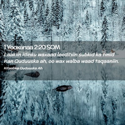 Picture 02 - 1 Yooxanaa 2:20 SOM - Laakiin idinku waxaad leedihiin subkid ka timid - Bible Verse Picture